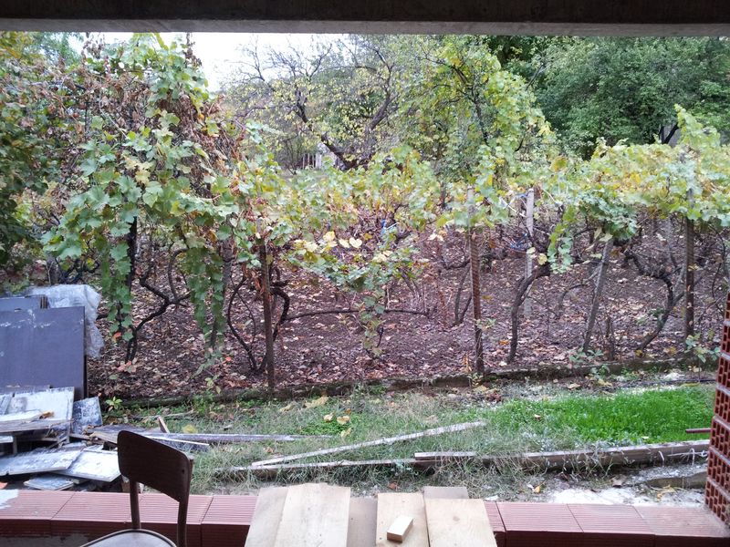 Юг - изглед от дневната