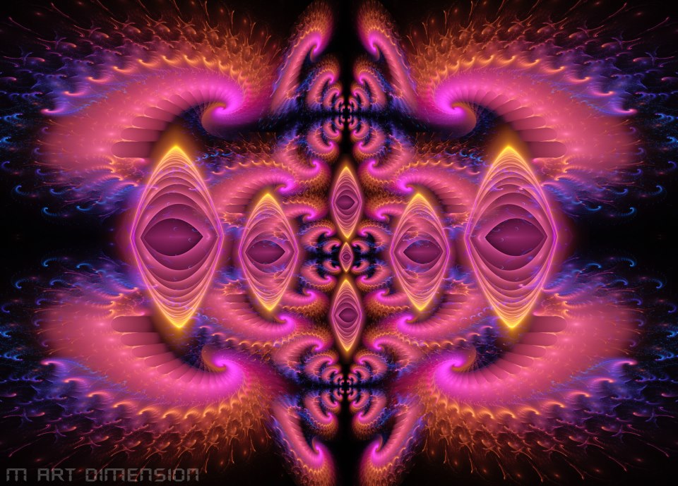 396214_10151107015332862_1700609868_n.jpg